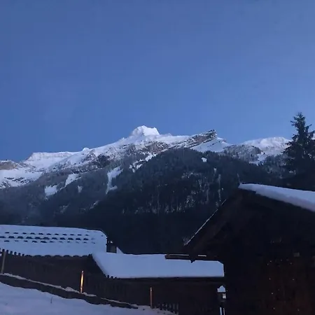 Apartment 1 Apt, Kitchen, Patio, In Beautiful Les Diablerets