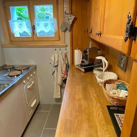 1 Apt, Kitchen, Patio, In Beautiful Les Diablerets