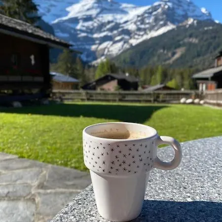 1 Apt, Kitchen, Patio, In Beautiful Apartment Les Diablerets