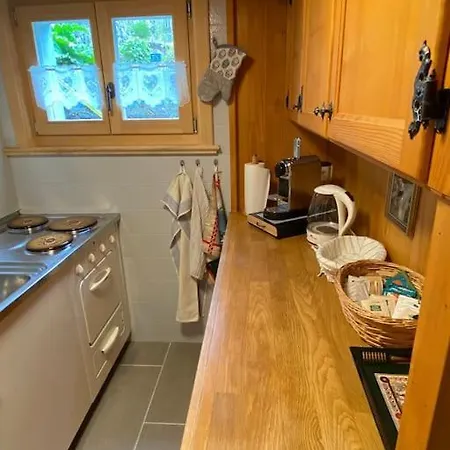 1 Apt, Kitchen, Patio, In Beautiful Les Diablerets