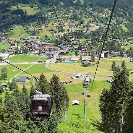 1 Apt, Kitchen, Patio, In Beautiful * Les Diablerets
