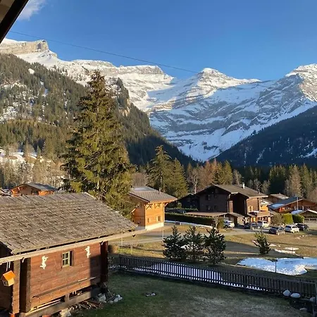 Apartment 1 Apt, Kitchen, Patio, In Beautiful Les Diablerets