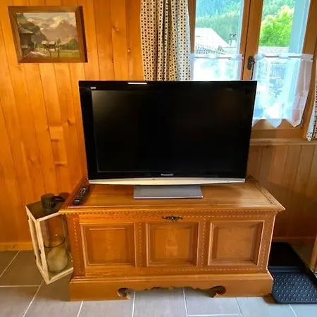 Apartment 1 Apt, Kitchen, Patio, In Beautiful Les Diablerets