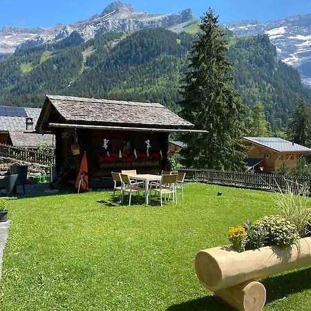 Apartment 1 Apt, Kitchen, Patio, In Beautiful Les Diablerets