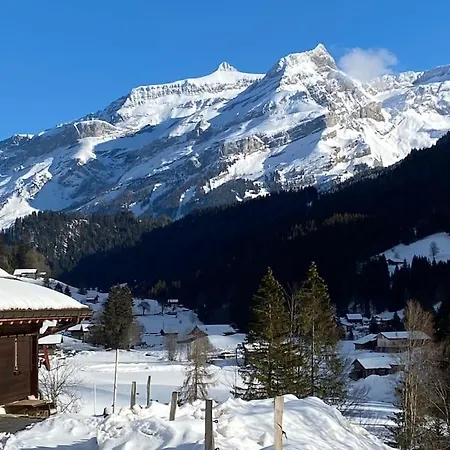 1 Apt, Kitchen, Patio, In Beautiful * Les Diablerets