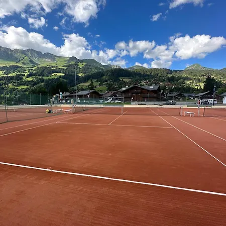 Apartment 1 Apt, Kitchen, Patio, In Beautiful Les Diablerets